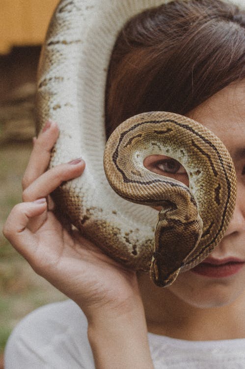 A woman holding a ball python